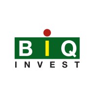 BIQinvest SA Logo