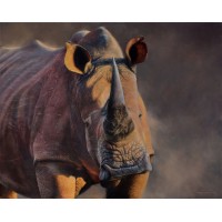 James Corwin Fine Art Logo