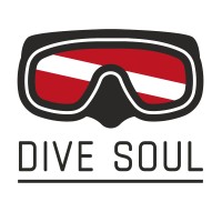 Dive Soul - Cursos de Mergulho Logo