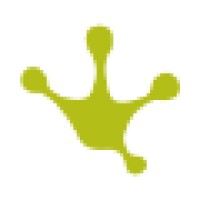 Blitskikker Logo