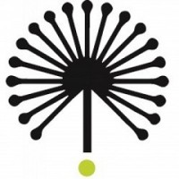 SEED Strategies, LLC Logo