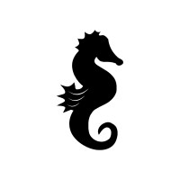 Sunny Co Clothing Logo