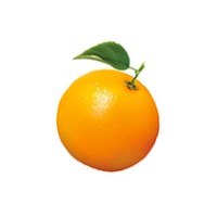 Orange Marmalade, Inc Logo