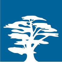 Mitec Consulting Logo