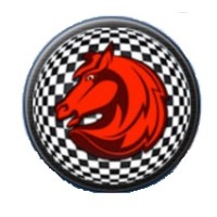 The Chess Emporium, LLC Logo