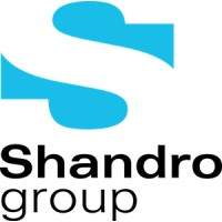 The Shandro Group Logo