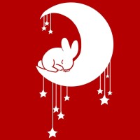 Northeastern University Chinese Student Association Logo
