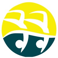 Artistic Swimming Australia Logo