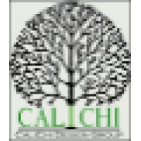 Calichi Design Group Logo