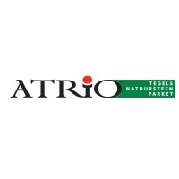 Atrionv Logo