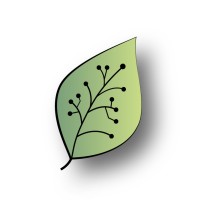 Acck Logo