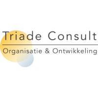 Triade Consult B.V. Logo