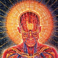 Expherience Logo