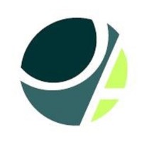 Osinowo and Associates Logo