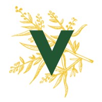 The Village Langley Logo