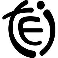 TEI Executive Search, LLC Logo