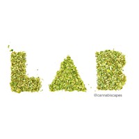 Cannabis LAB - Association of Cannabis Industry Professionals Logo