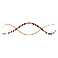 Numina.ai Logo