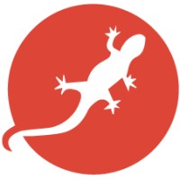 Digital Salamander Logo