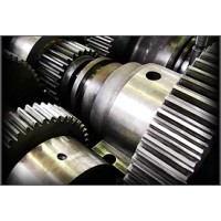 Acme Gear Co. Logo