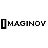 Imaginov Consulting Logo