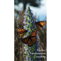 Papillon Transformative Consulting Logo