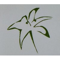 The Natural Burial Company Logo
