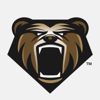Bear Knuckles Gloves Logo