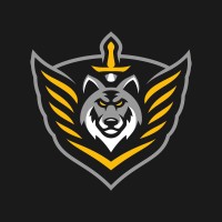 DUSK Combat Force Logo