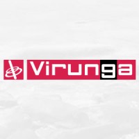 Virunga - online communicatie & webdevelopment Logo