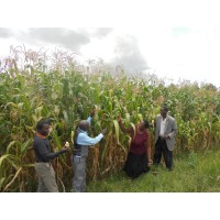 Rabboni Group Ltd Logo