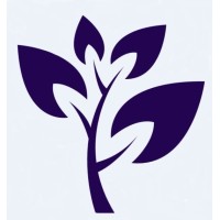 Applied Economics Clinic Logo