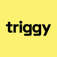 Triggy Logo