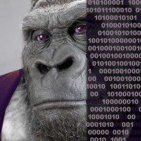 Kongs Digital Logo
