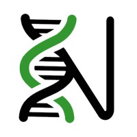 NE2B2 - Núcleo de Estudantes de Engenharia Biomédica e Biofísica Logo