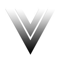 VashiVisuals Logo