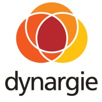 Dynargie Switzerland Logo