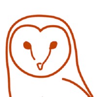 Barn Owl Robotics, LLC Logo