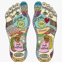 Firmly Planted Reflexology Logo