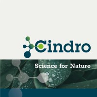 Cindro B.V. Logo