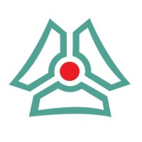 Nigerian Sinotrucks Logo