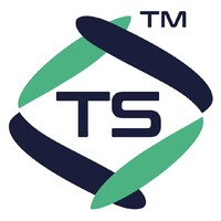 Todosistemas STI Logo