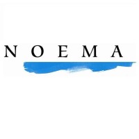 Noema S.r.l. Unipersonale Logo