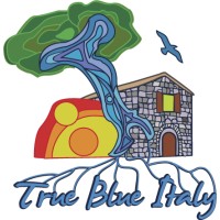 TRUE BLUE ITALY - Airport Facilities and Travel & Tour services Logo