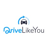 DriveLikeYou S.r.l. Logo