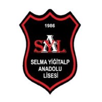 İzmir Selma Yiğitalp Anadolu Lisesi Logo