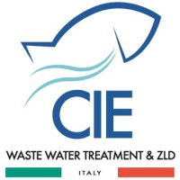 CIE Srl Logo