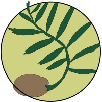 Macrozamia Environmental Logo