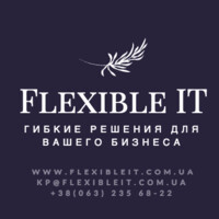 Flexible IT Logo