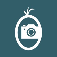 Nyboer Photography Logo